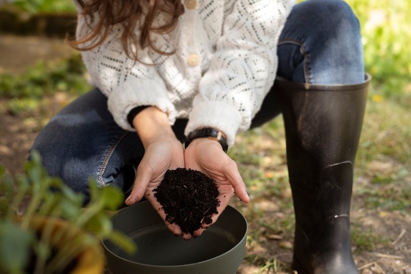 DIY Gardening